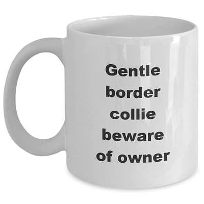 Border Collie Mug- Gentle Border Collie, Beware Of Owner