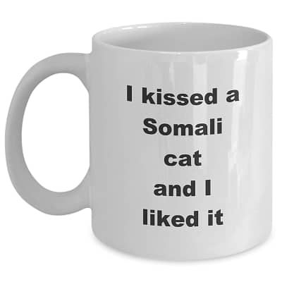 Somali Cat Mug – I Kissed A Somali Cat And I Liked It