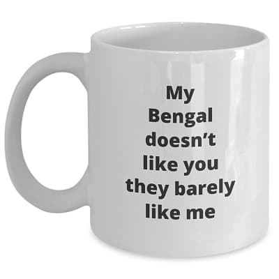 Bengal Cat Mug – My Bengal Doesn’t Like You They Barely Like Me
