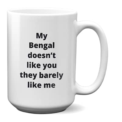 Bengal Cat Mug – My Bengal Doesn’t Like You They Barely Like Me