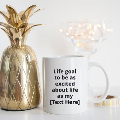 Life Goal Be Excited_11oz white mug gold pineapple_MG_0226_SQ CROP-800