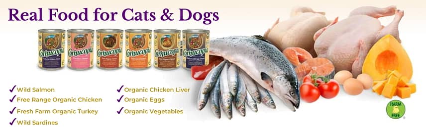 Real Food for Dogs and Cats
